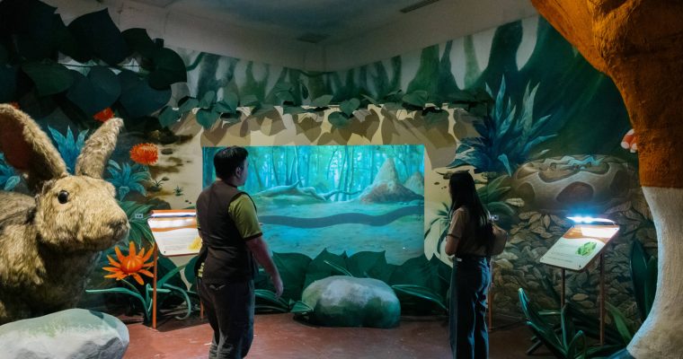 งู Siam Serpentarium พิพิธภัณฑ์งู สัตว์เลื้อยคลาน