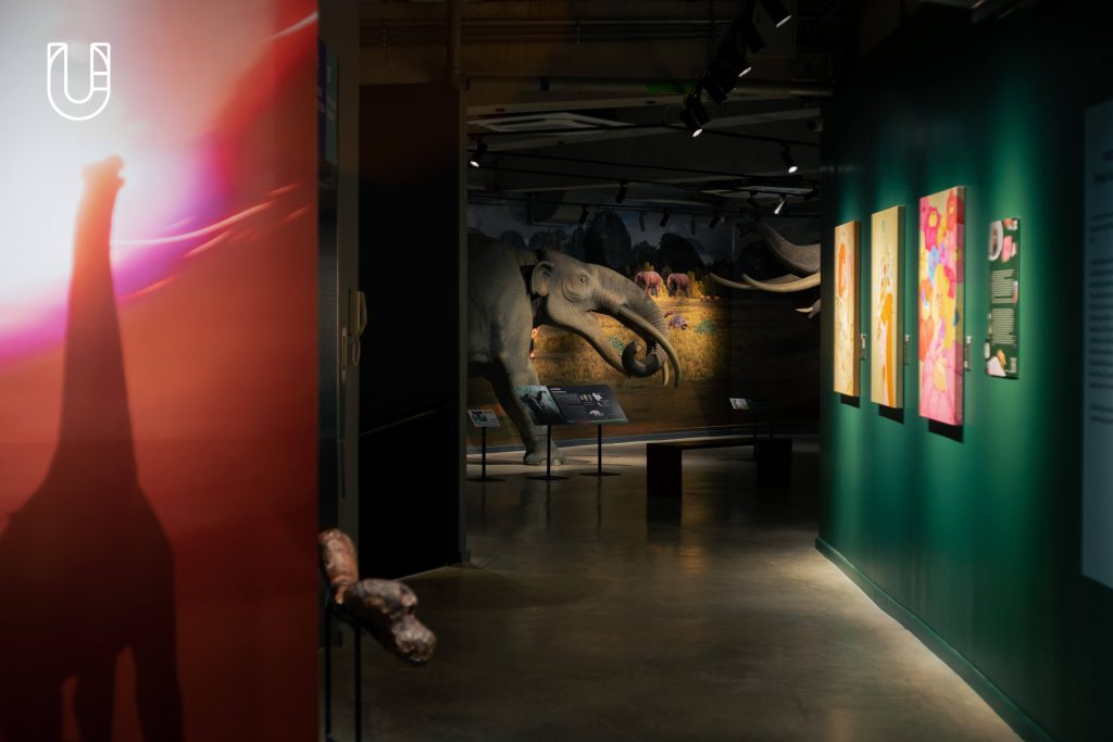 ท่าพิพิธภัณฑ์ Museum Pier นิทรรศการ ท่าช้าง โครงการท่าช้างวังหลวง Museum In Sight Series Museum STAR เพ่งพิศพิพิธภัณฑ์