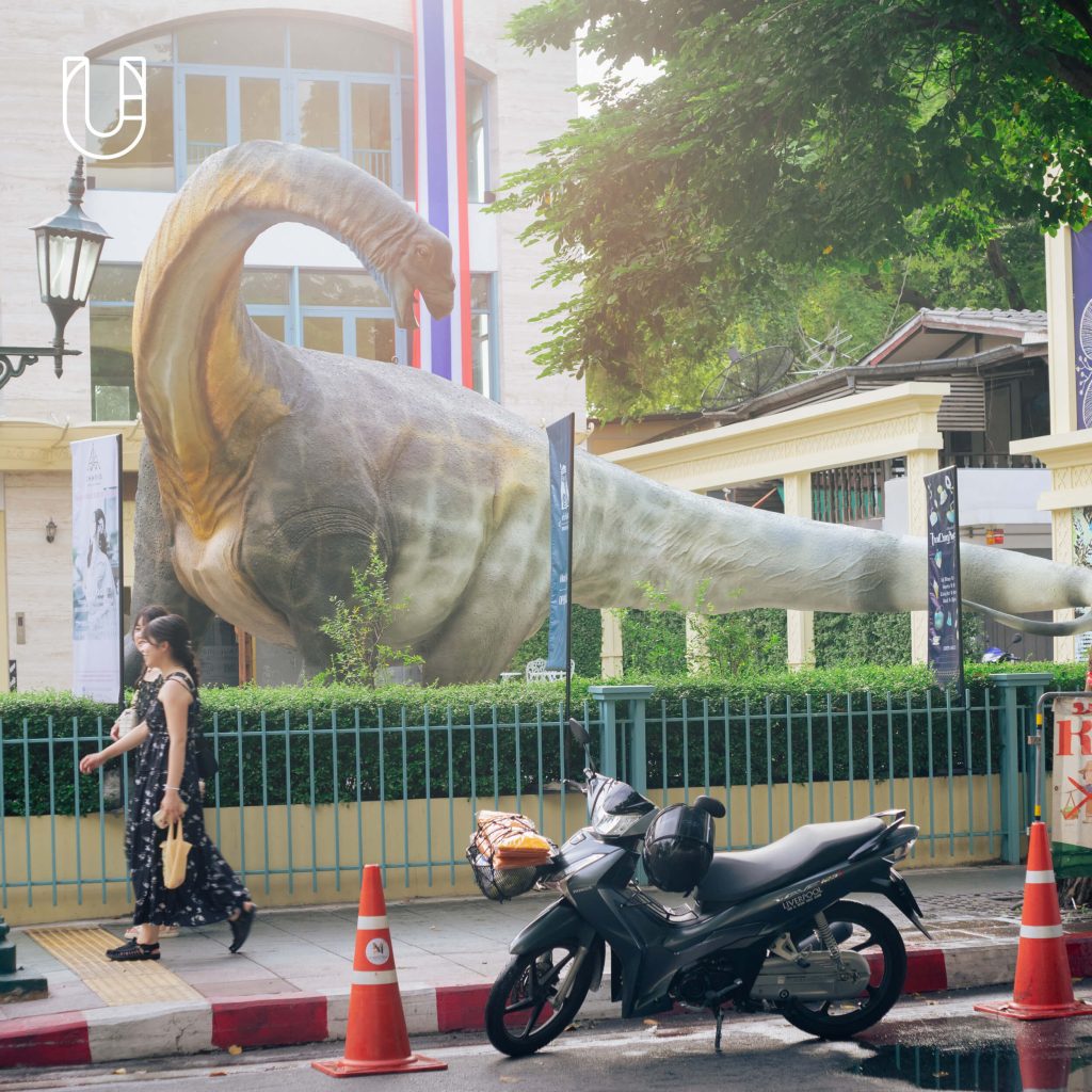 ท่าพิพิธภัณฑ์ Museum Pier นิทรรศการ ท่าช้าง โครงการท่าช้างวังหลวง Museum In Sight Series Museum STAR เพ่งพิศพิพิธภัณฑ์