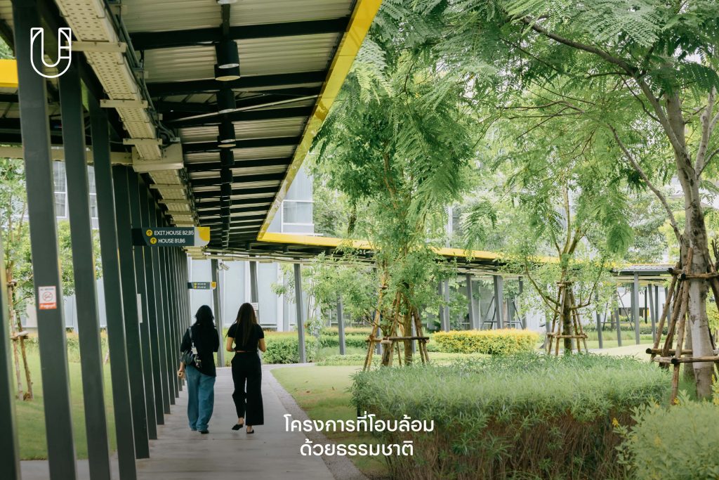 Summer Lasalle ออฟฟิศแคมปัส ธรรมชาติ ลาซาล บางนา สุขุมวิท SOCO WORK พื้นที่สีเขียว ทำงาน บริษัท คนรุ่นใหม่
