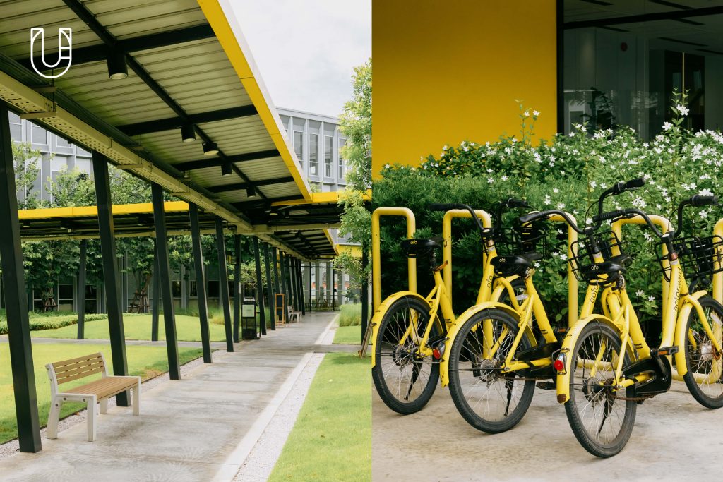 Summer Lasalle ออฟฟิศแคมปัส ธรรมชาติ ลาซาล บางนา สุขุมวิท SOCO WORK พื้นที่สีเขียว ทำงาน บริษัท คนรุ่นใหม่
