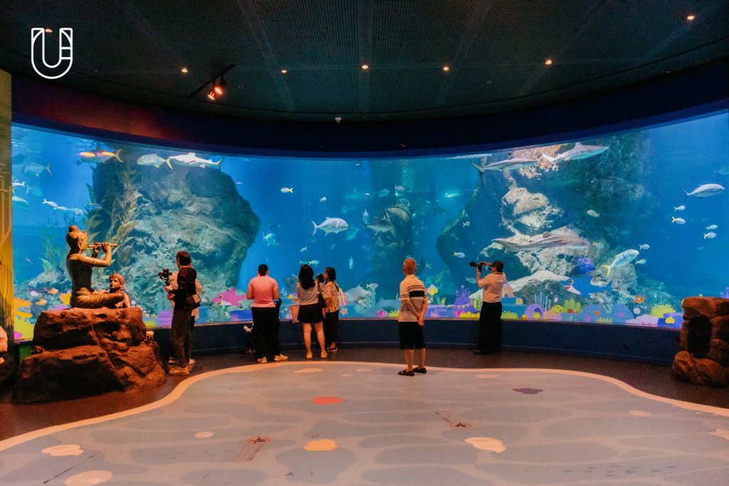 SEA LIFE Bangkok Ocean World สยามพารากอน ศูนย์การค้า พิพิธภัณฑ์สัตว์น้ำ อะควาเรียม ใจกลางเมืองง กรุงเทพฯ Museum STAR Museum Thailand ทะเล สัตว์น้ำ โลกใต้น้ำ ท้องทะเล