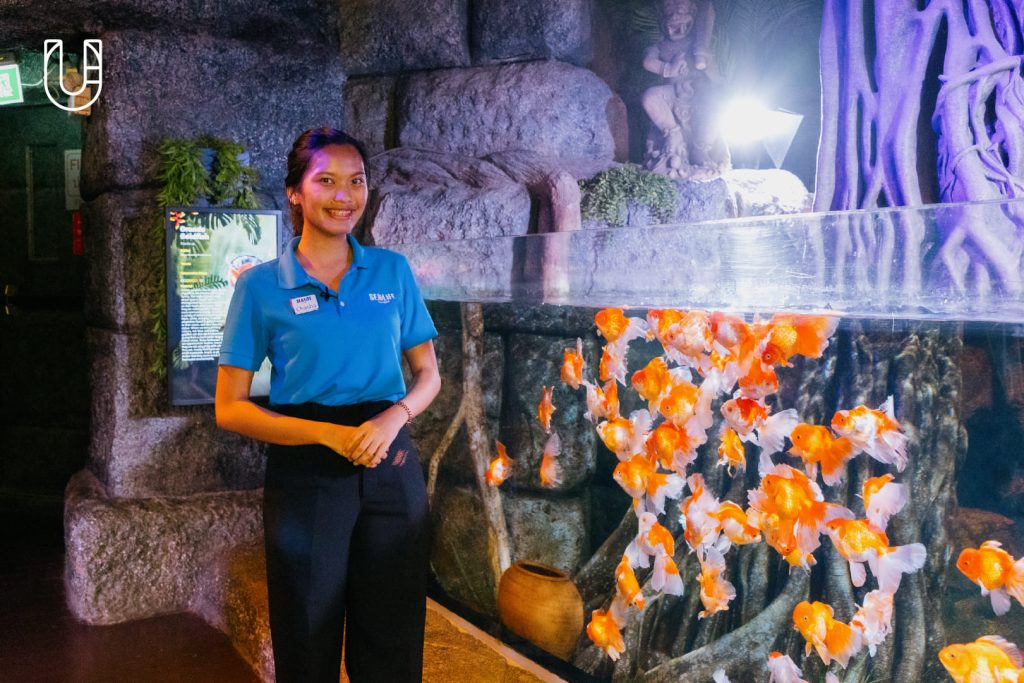 SEA LIFE Bangkok Ocean World สยามพารากอน ศูนย์การค้า พิพิธภัณฑ์สัตว์น้ำ อะควาเรียม ใจกลางเมืองง กรุงเทพฯ Museum STAR Museum Thailand ทะเล สัตว์น้ำ โลกใต้น้ำ ท้องทะเล