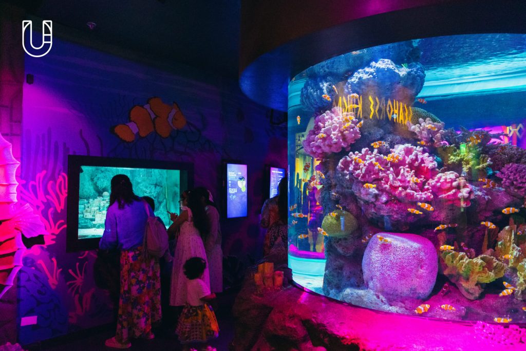 SEA LIFE Bangkok Ocean World สยามพารากอน ศูนย์การค้า พิพิธภัณฑ์สัตว์น้ำ อะควาเรียม ใจกลางเมืองง กรุงเทพฯ Museum STAR Museum Thailand ทะเล สัตว์น้ำ โลกใต้น้ำ ท้องทะเล