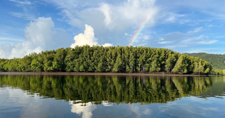 ททท เกาะลันตา กระบี่ Green Destinations Top 100 Stories ท่องเที่ยว ยั่งยืน ปูเสฉวน โครงการคืนบ้านให้ปูเสฉวน ชายหาด อุทยานแห่งชาติหมู่เกาะลันตา เรือแจวทุ่งหยีเพ็ง ธรรมชาติ ระบบนิเวศ สิ่งแวดล้อม