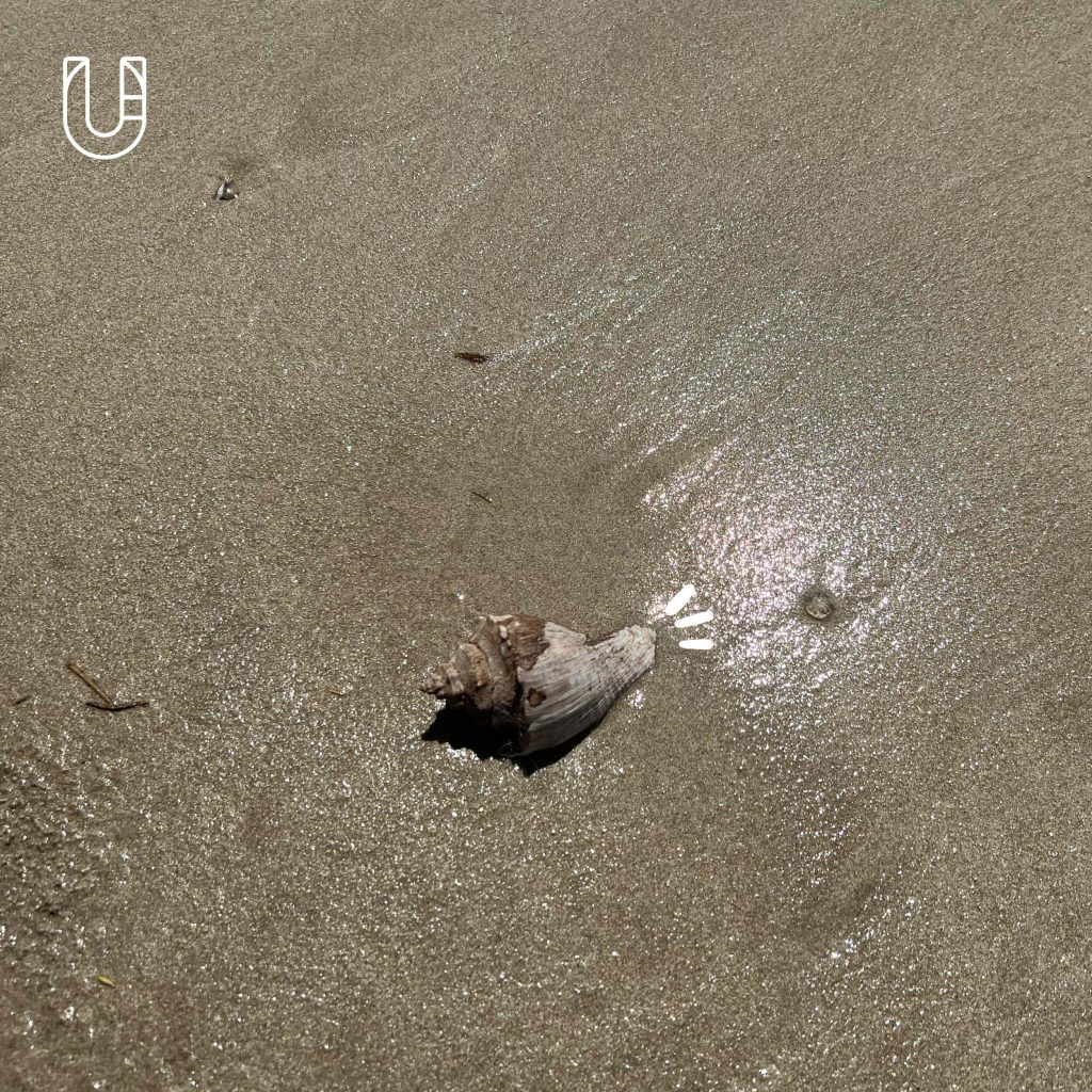 ททท เกาะลันตา กระบี่ Green Destinations Top 100 Stories ท่องเที่ยว ยั่งยืน ปูเสฉวน โครงการคืนบ้านให้ปูเสฉวน ชายหาด อุทยานแห่งชาติหมู่เกาะลันตา เรือแจวทุ่งหยีเพ็ง ธรรมชาติ ระบบนิเวศ สิ่งแวดล้อม