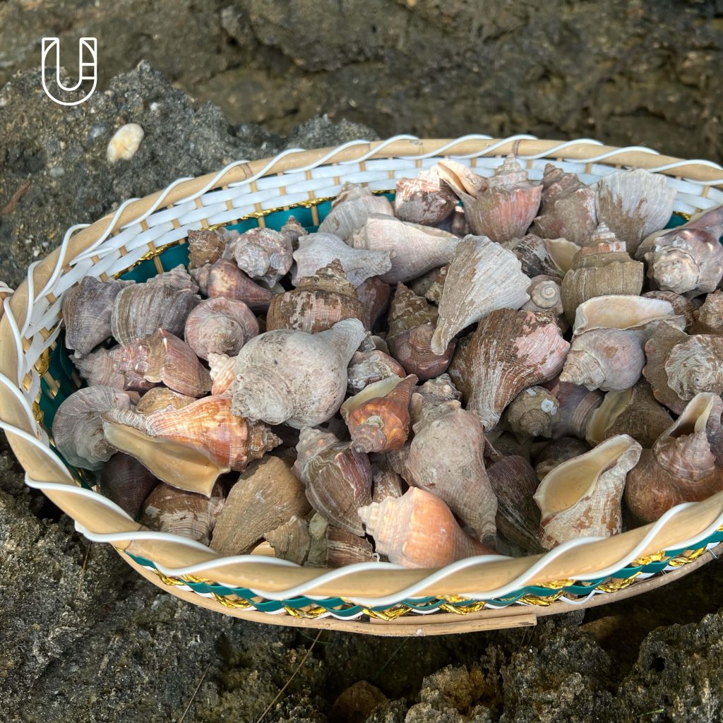 ททท เกาะลันตา กระบี่ Green Destinations Top 100 Stories ท่องเที่ยว ยั่งยืน ปูเสฉวน โครงการคืนบ้านให้ปูเสฉวน ชายหาด อุทยานแห่งชาติหมู่เกาะลันตา เรือแจวทุ่งหยีเพ็ง ธรรมชาติ ระบบนิเวศ สิ่งแวดล้อม