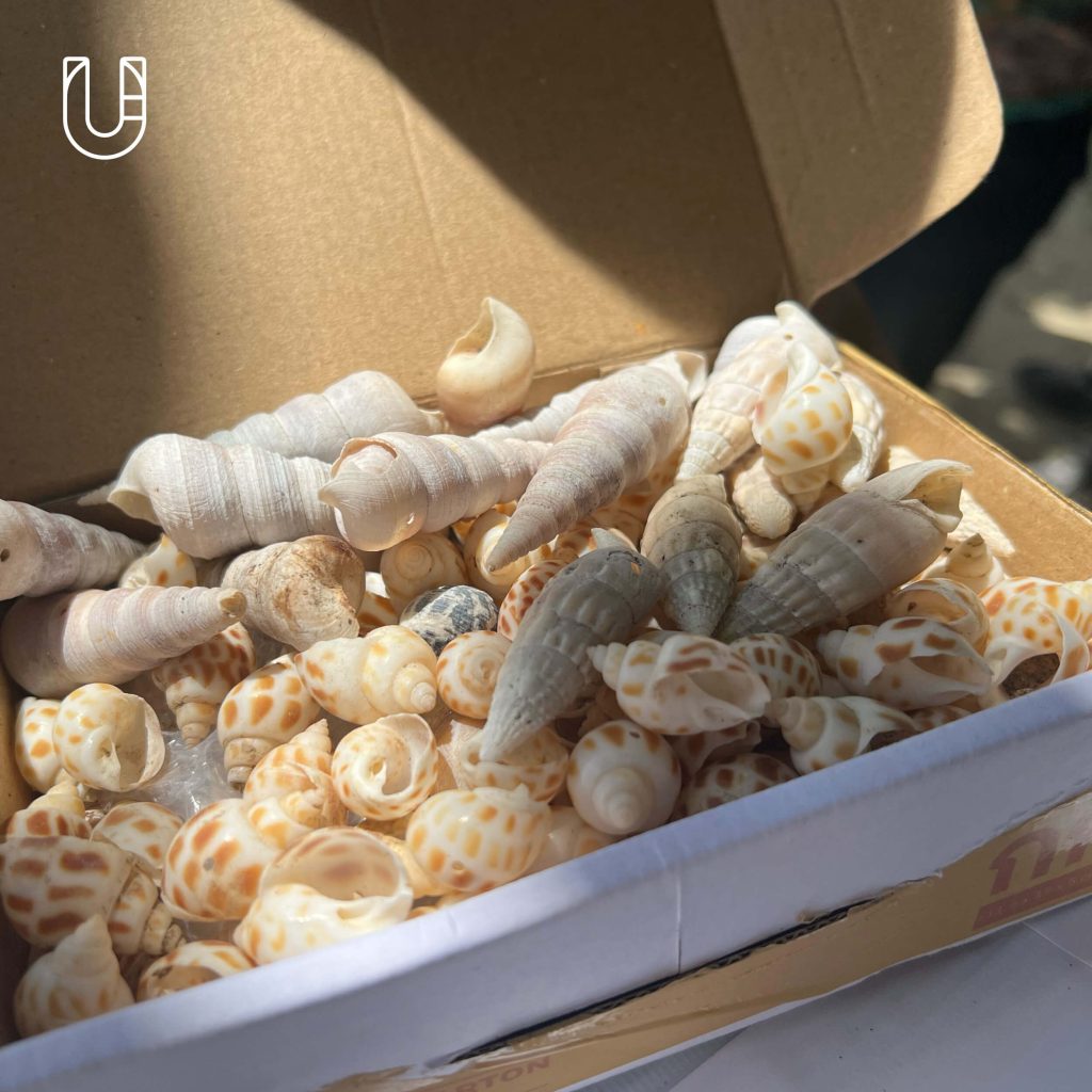 ททท เกาะลันตา กระบี่ Green Destinations Top 100 Stories ท่องเที่ยว ยั่งยืน ปูเสฉวน โครงการคืนบ้านให้ปูเสฉวน ชายหาด อุทยานแห่งชาติหมู่เกาะลันตา เรือแจวทุ่งหยีเพ็ง ธรรมชาติ ระบบนิเวศ สิ่งแวดล้อม