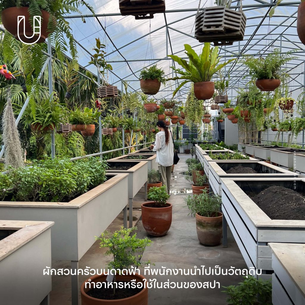 Varana Krabi กระบี่ โรงแรม ความยั่งยืน Zero Waste Zero carbon