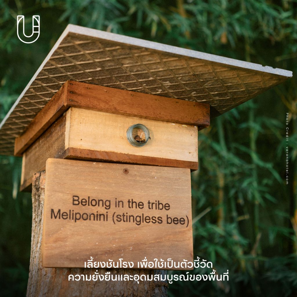 Varana Krabi กระบี่ โรงแรม ความยั่งยืน Zero Waste Zero carbon