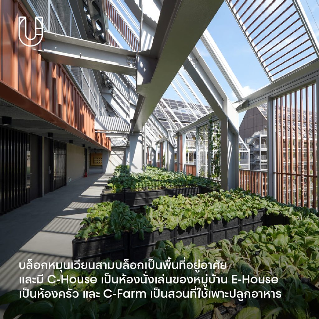 Taisugar Circular Village หมู่บ้าน เศรษฐกิจหมุนเวียน ปลูกผัก ที่อยู่อาศัย จัดการขยะ ความยั่งยืน เมือง ไต้หวัน สิ่งแวดล้อม