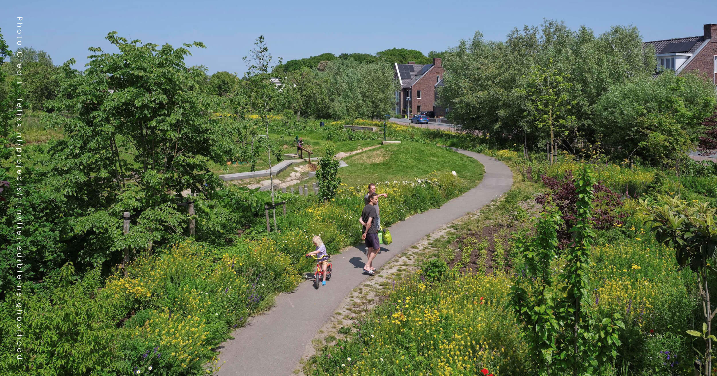 ประเทศเนเธอร์แลนด์ เมือง Utrecht Rijnvliet ย่านที่กินได้ Edible Neighborhood ต้นไม้ พืช สิ่งแวดล้อม สวนสาธารณะ ที่อยู่อาศัย ธรรมชาติ ระบบนิเวศ