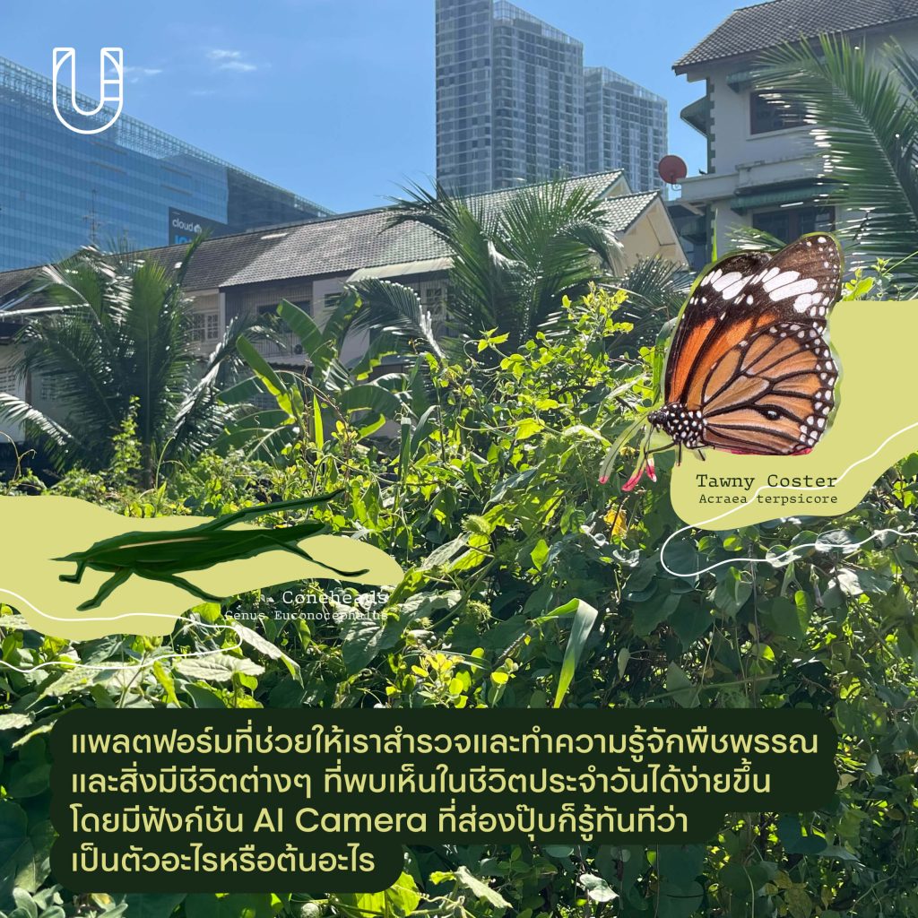 inaturalist แพลตฟอร์ม พืชพรรณ ธรรมชาติ สำรวจ