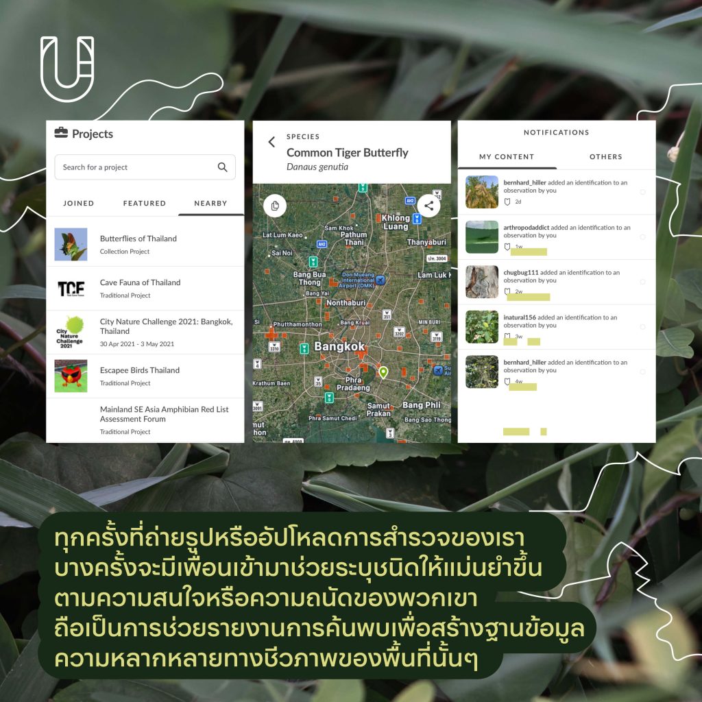 inaturalist แพลตฟอร์ม พืชพรรณ ธรรมชาติ สำรวจ