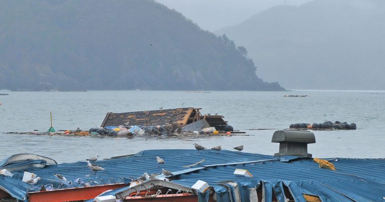 น้ำท่วม ญี่ปุ่น my timeline วางแผนป้องกันน้ำท่วม อุทกภัย หาดใหญ่ สงขลา น้ำท่วมหาดใหญ่ กฎหมาย ข้อบังคับ