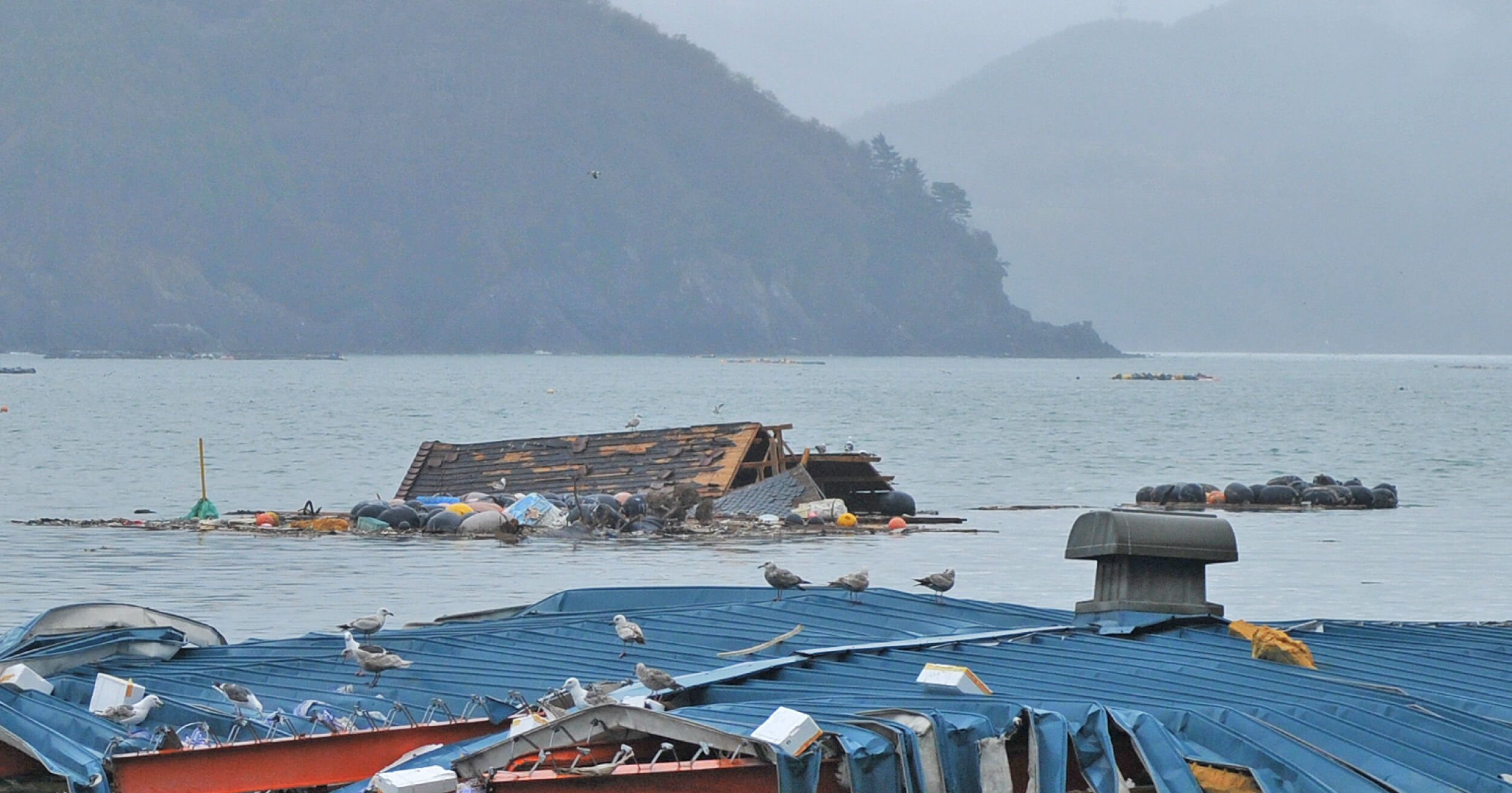 น้ำท่วม ญี่ปุ่น my timeline วางแผนป้องกันน้ำท่วม อุทกภัย หาดใหญ่ สงขลา น้ำท่วมหาดใหญ่ กฎหมาย ข้อบังคับ