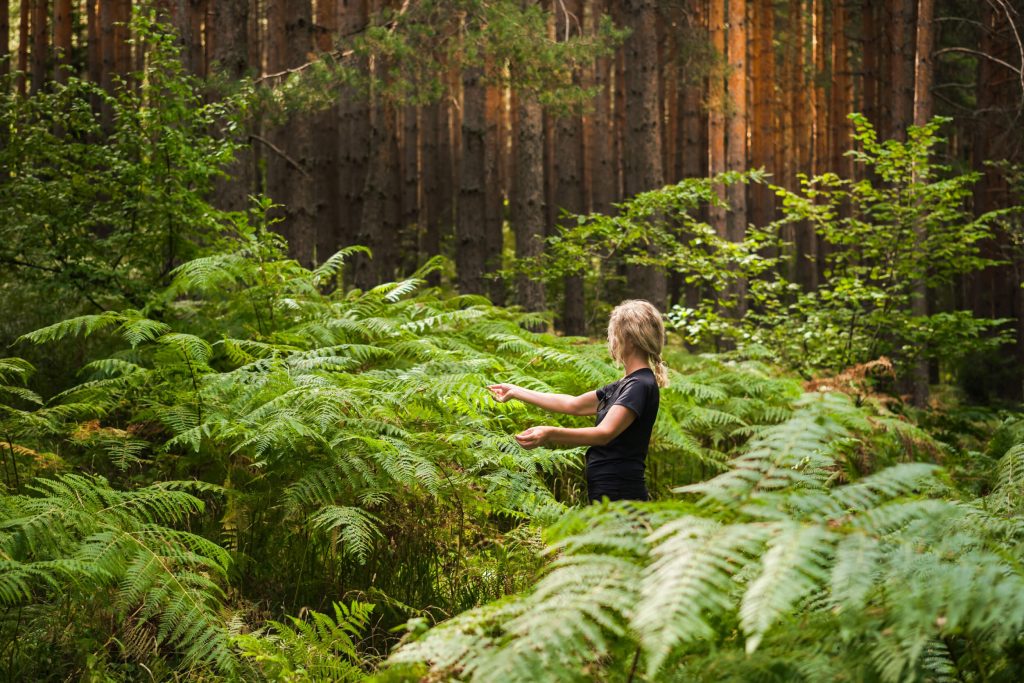Ecotherapy บำบัดเชิงนิเวศ ธรรมชาติ สิ่งแวดล้อม ต้นไม้ สิ่งแวดล้อม