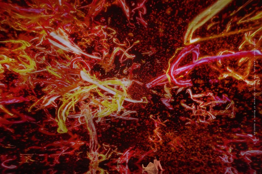 teamlab biovertex kyoto kansai osaka เที่ยวญี่ปุ่น นิทรรศการศิลปะ ศิลปะ