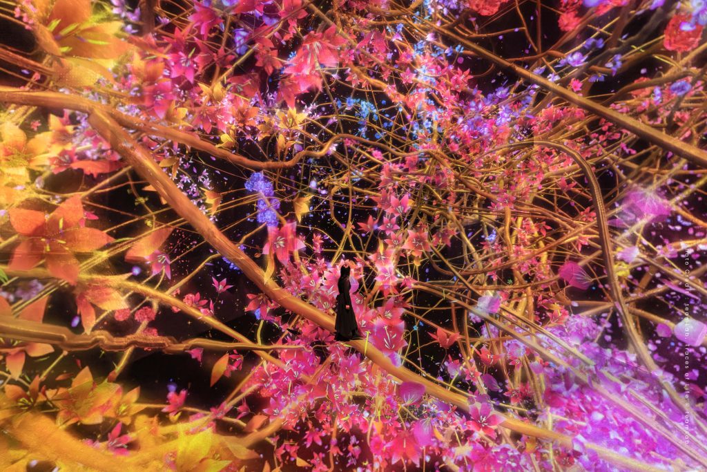 teamlab biovertex kyoto kansai osaka เที่ยวญี่ปุ่น นิทรรศการศิลปะ ศิลปะ