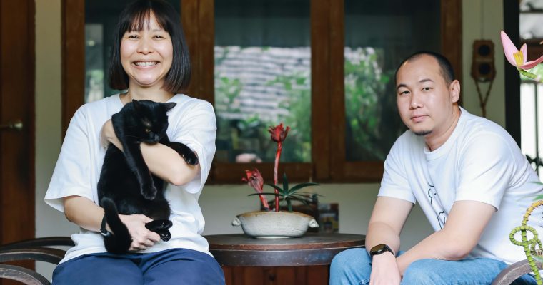 แมว ม้าที่ควรค่าแมว แมวที่ควรค่าม้า วัดควรค่าม้า เชียงใหม่ Chiang Mai Design Week Research Playground, 2024 Good Design Award ญี่ปุ่น แมวเมือง เมืองแมว