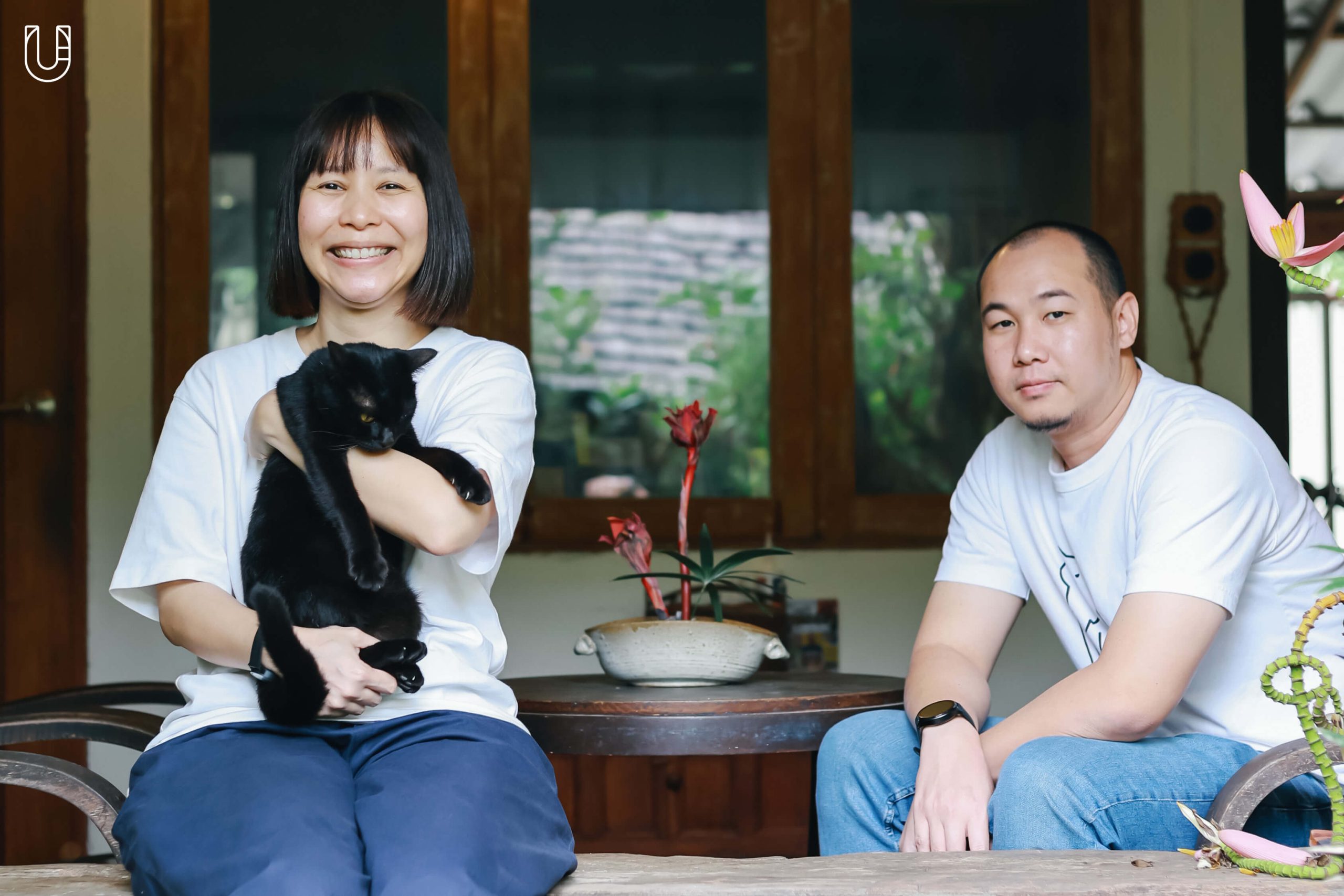 แมว ม้าที่ควรค่าแมว แมวที่ควรค่าม้า วัดควรค่าม้า เชียงใหม่ Chiang Mai Design Week Research Playground, 2024 Good Design Award ญี่ปุ่น แมวเมือง เมืองแมว