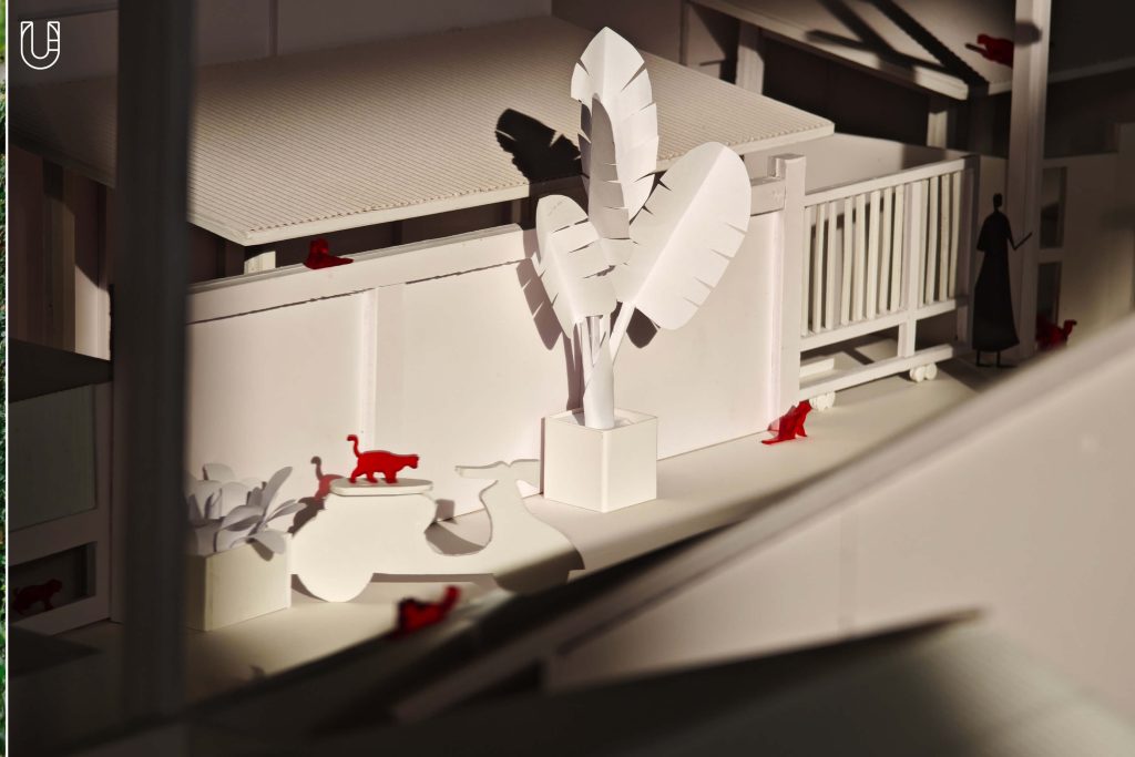 แมว ม้าที่ควรค่าแมว แมวที่ควรค่าม้า วัดควรค่าม้า เชียงใหม่ Chiang Mai Design Week Research Playground, 2024 Good Design Award ญี่ปุ่น แมวเมือง เมืองแมว