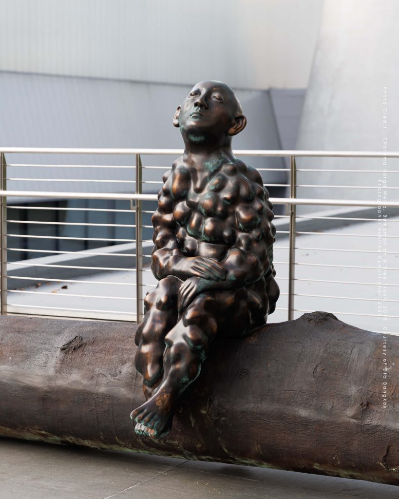 Dib Bangkok ดิบ บางกอก พิพิธภัณฑ์ร่วมสมัย สุขุมวิท ไทย นานาชาติ พื้นทีศิลปะ โอสถานุเคราะห์