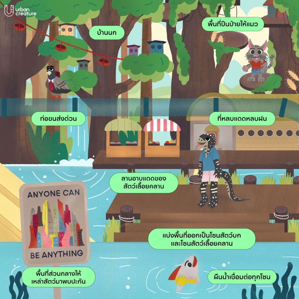 Zootopia สวนลุมพินี ออกแบบ สวนสาธารณะ สัตว์ นกพิราบ แมว ปลา หนู กระรอก ตัวเงินตัวทอง เมือง กรุงเทพฯ