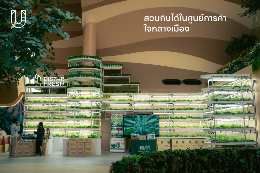 NEXTOPIA สยามพารากอน เมืองต้นแบบแห่งความยั่งยืน ความยั่งยืน Siam Paragon นวัตกรรม ไลฟ์สไตล์ อนาคต ศิลปะ ธรรมชาติ ขยะทะเล รีไซเคิล