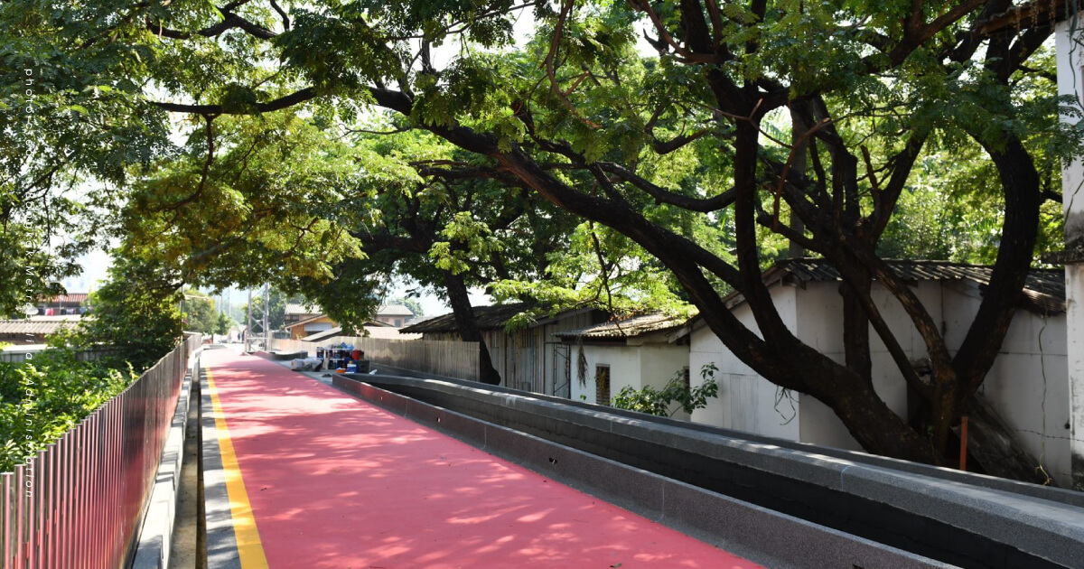 สะพานเขียว เวอร์ชันปรับปรุงใหม่