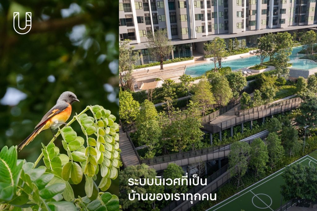 AP AP Thailand คอนโด คอนโดมิเนียม กรุงเทพ บ้าน ที่พักอาศัย การออกแบบ good design award